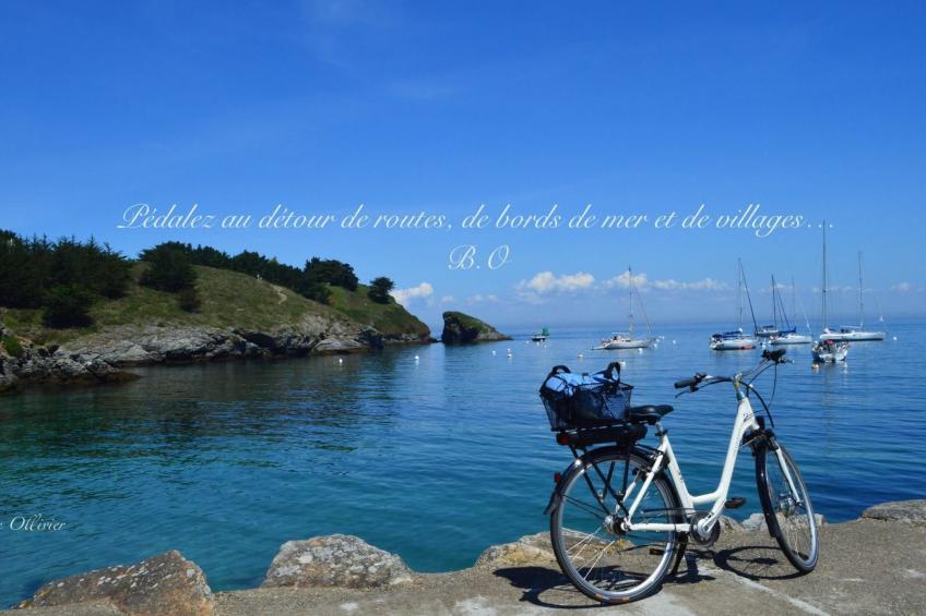 Ferienhaus - foto 23