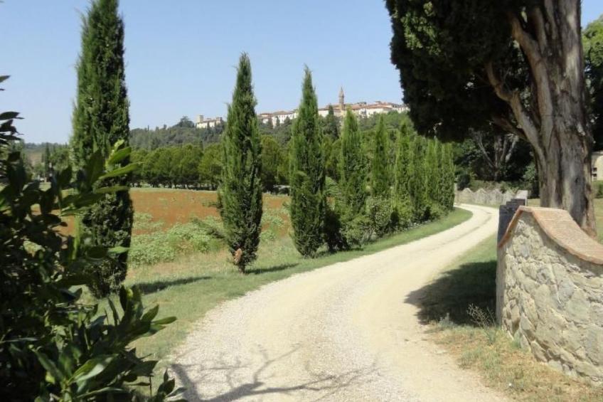 Behindertengerechtes Drei-Zimmer-Appartement, Typ E - foto 10