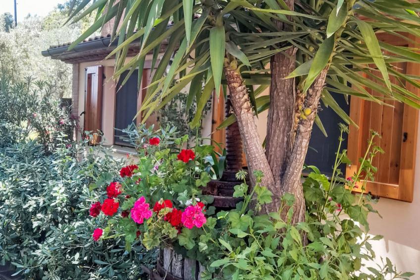 Home Relax - foto 51