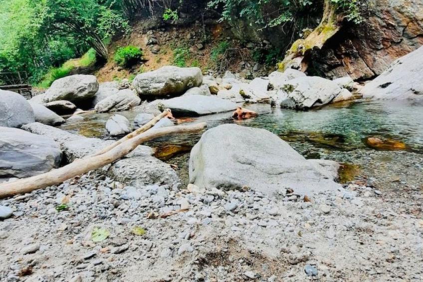 Insel-Ferienhaus - foto 31