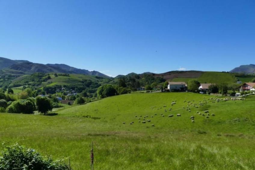 MONDARRAIN - foto 25