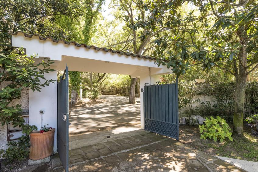 La casina nel bosco - foto 22