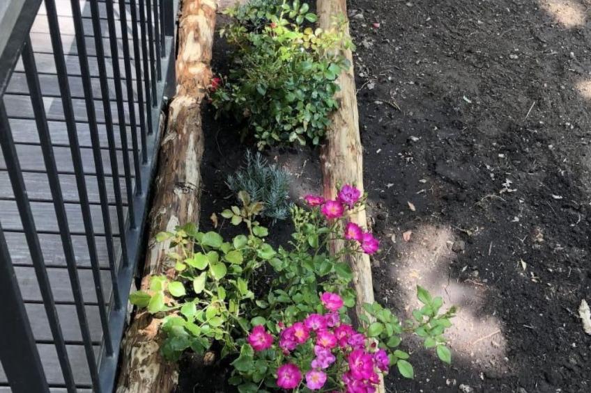 La Graziosa - foto 13