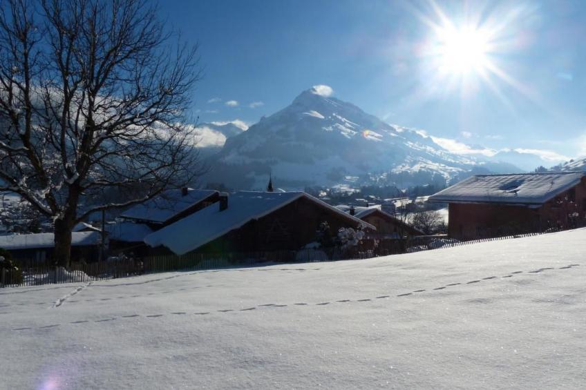 Alpenblick Nord - foto 30