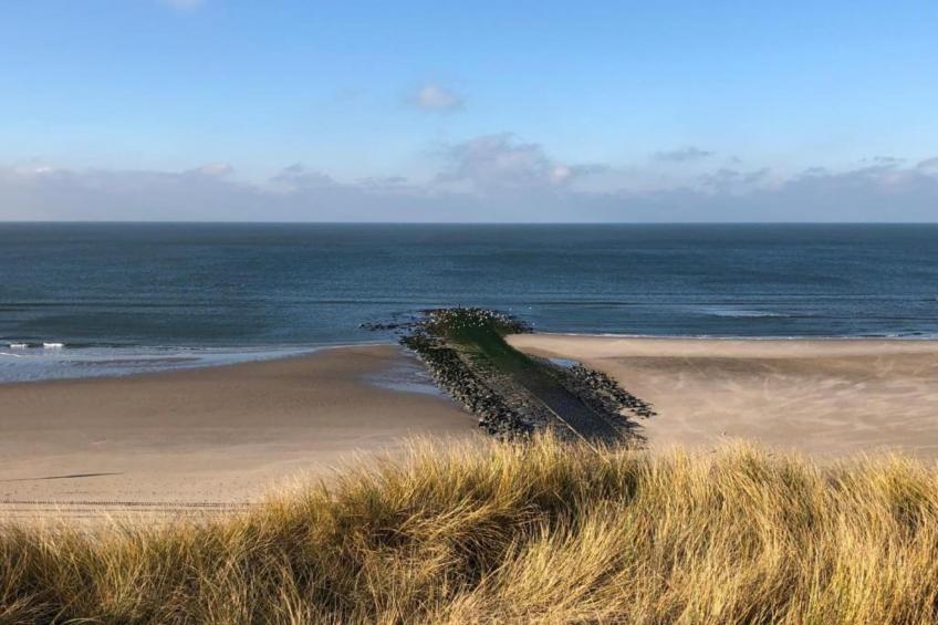 Wilca Hoeve - foto 39