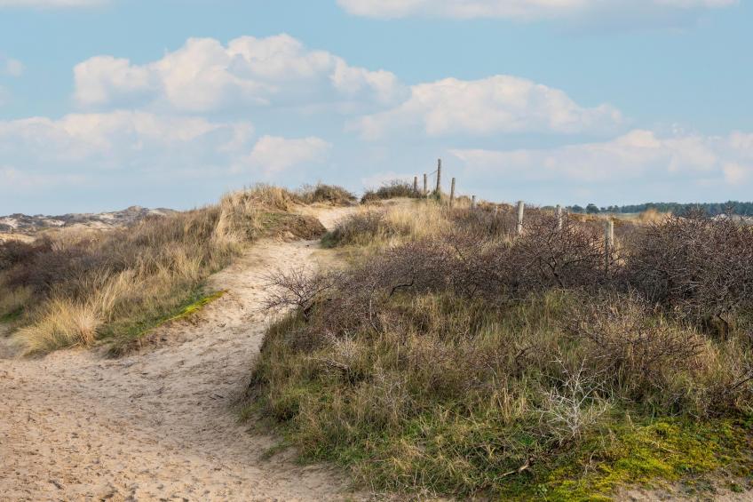 De Zilvermeeuw - foto 33