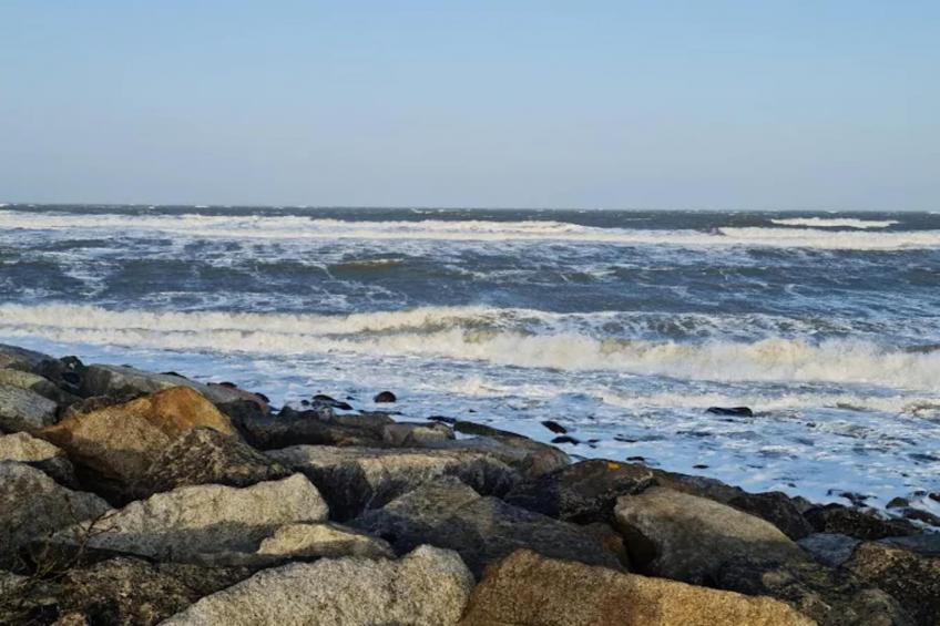 Appartementenhuis Calmsailing, Börgerende - foto 33