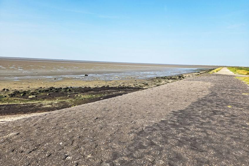 De Wieringerheid 164 - foto 36