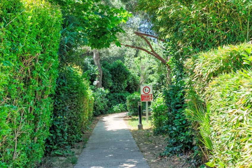 Les Morières - foto 32