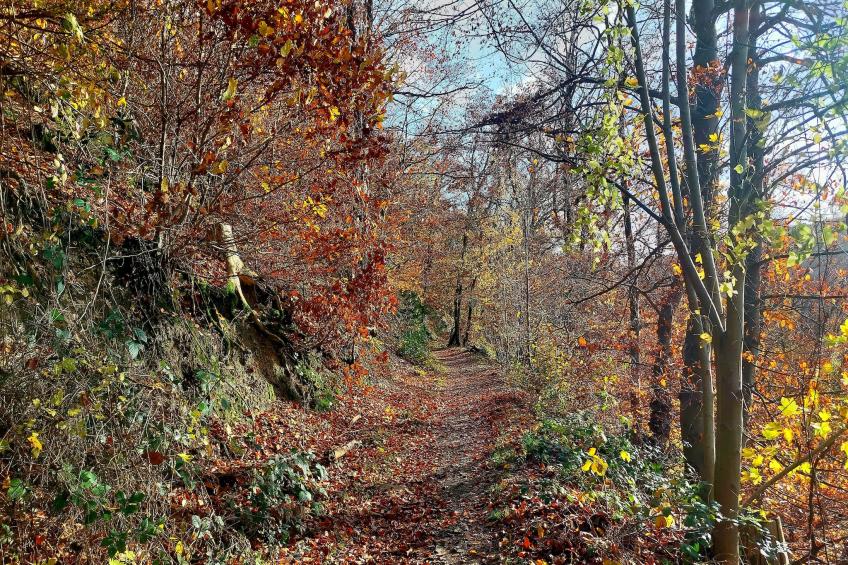 Double Room - foto 25