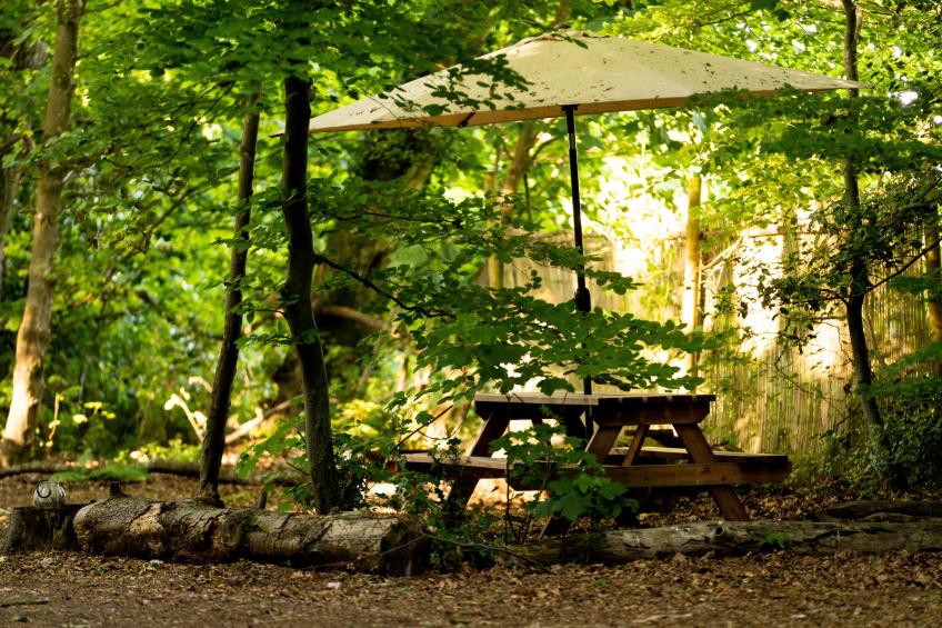 Bluebelle Glamping Pod - foto 6