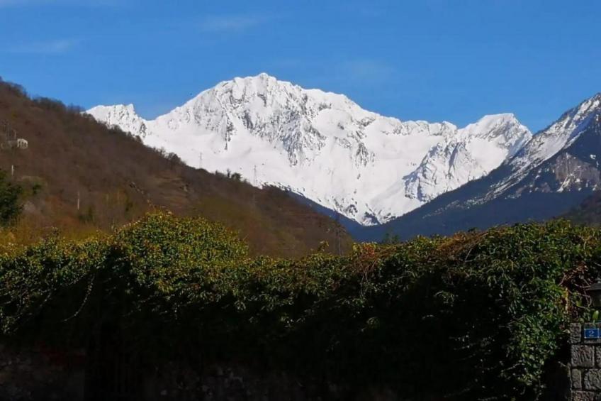 Chez Dominique - foto 28