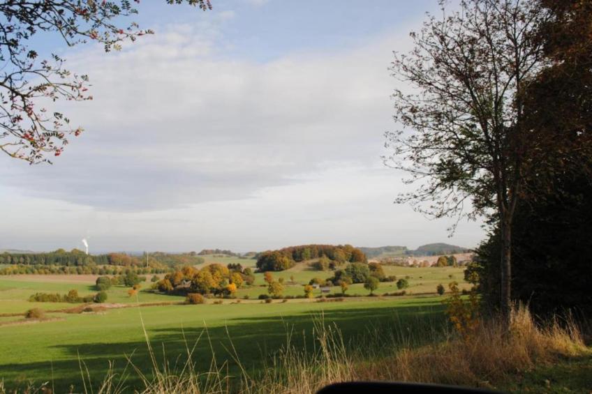 Haus Finger - foto 34