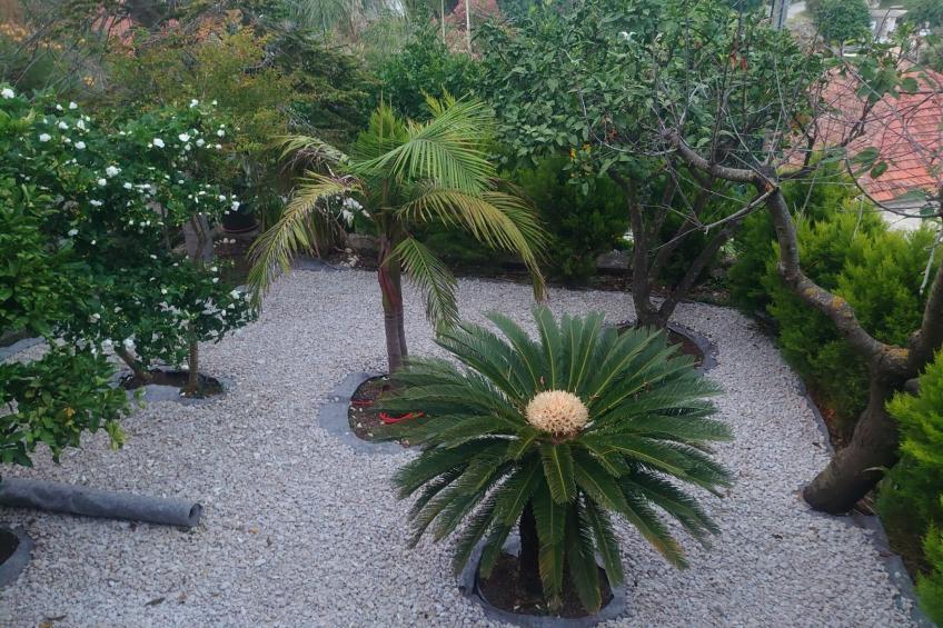 Villa Peragić - Triple Room with Balcony - foto 14