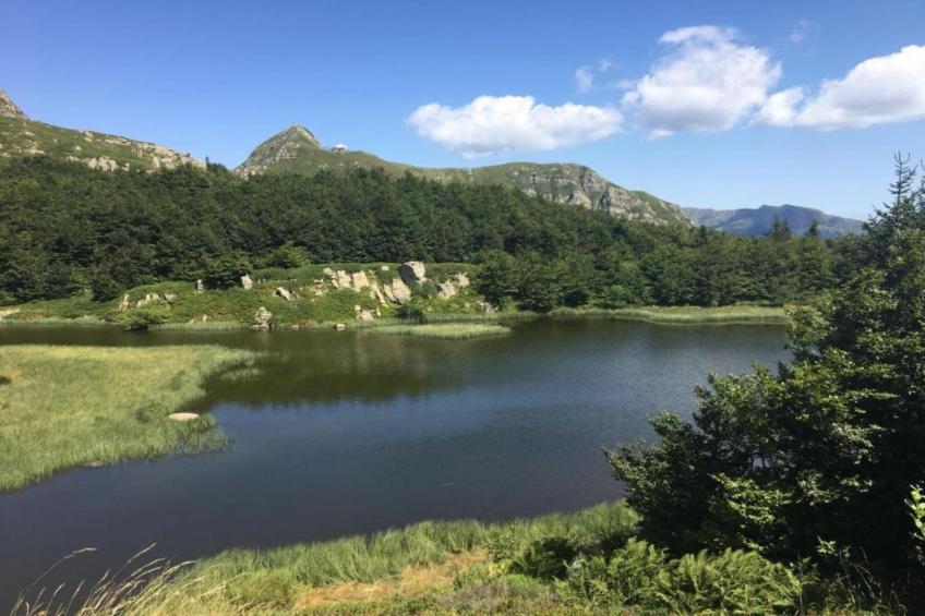 Lucia e Renzo - foto 36