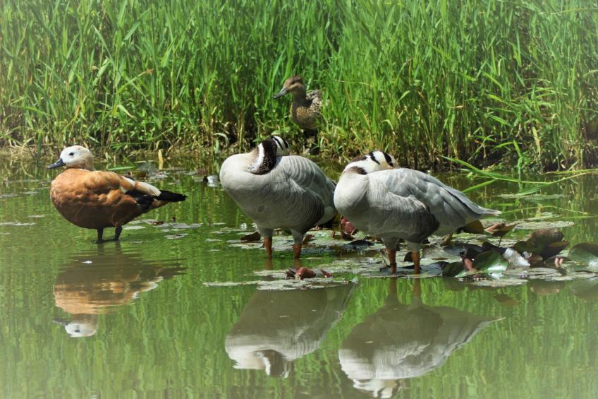 für 8 Personen - foto 27