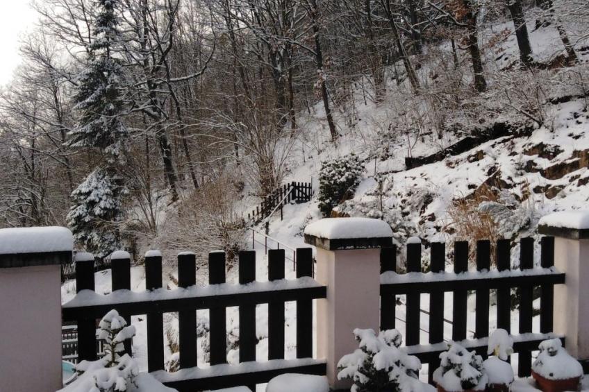 Jagd auf Ldoge - foto 5