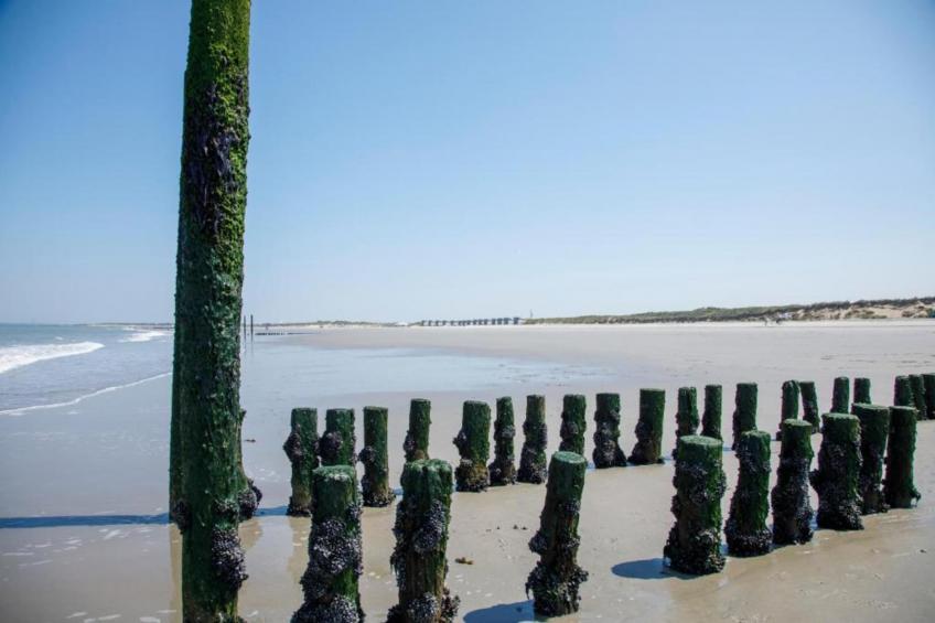 Beach Resort Nieuwvliet-Bad 18 - foto 28