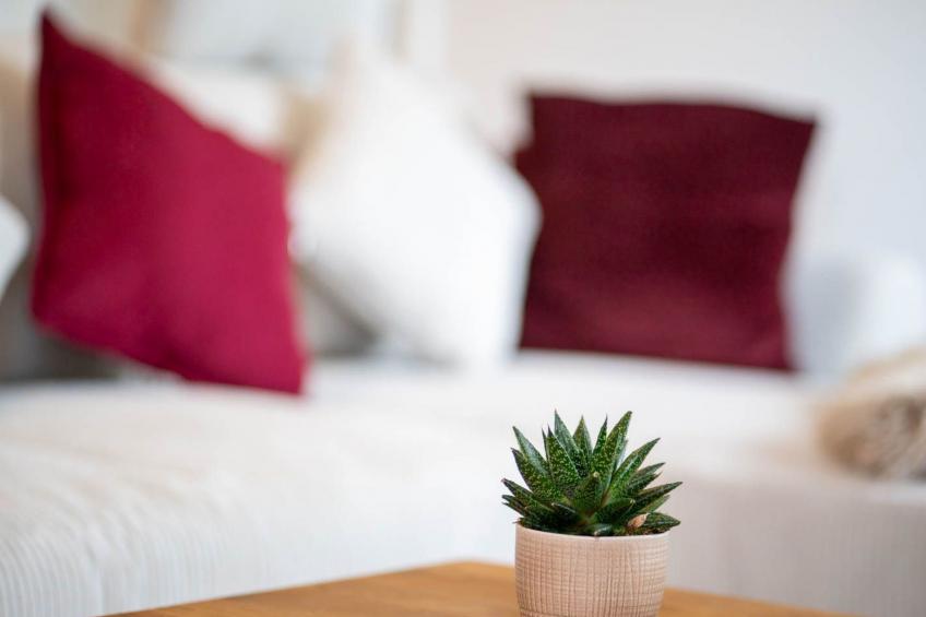 Schule Altes Land - foto 21