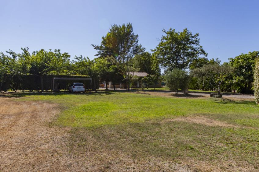 A l'Ombre du Soleil - foto 25