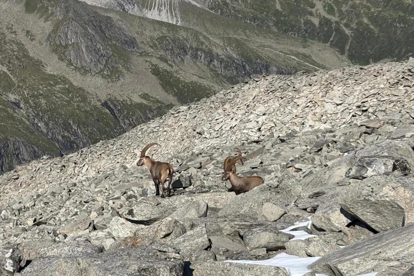 Mitterkopfblick - foto 16