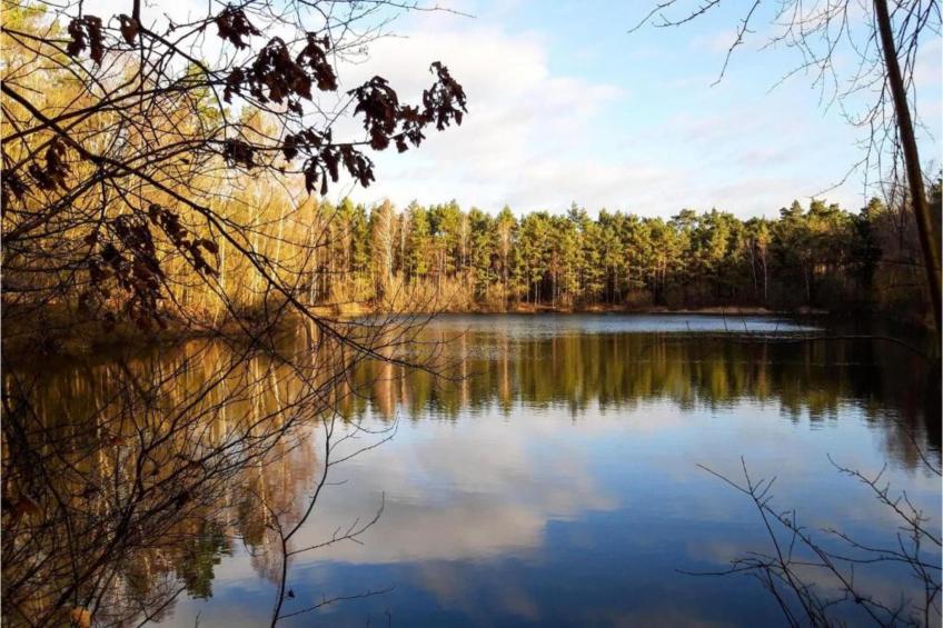 Wildzicht 253 - foto 30