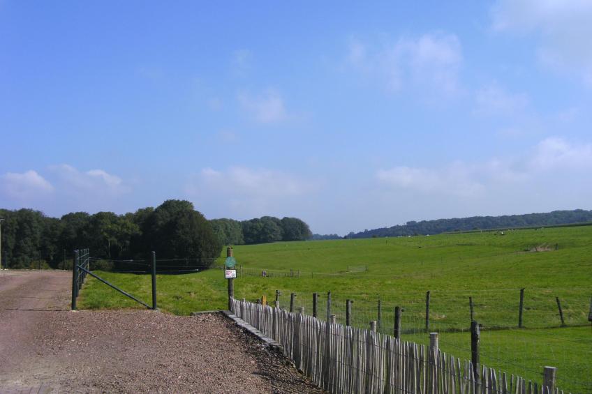 Logeren bij Laura - foto 33