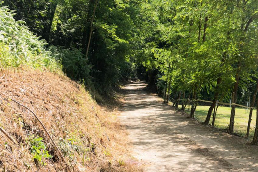 Mobil Home - Bungalow - Cottage à Santa Pau - foto 41