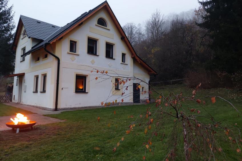 in natürlicher Umgebung - foto 3