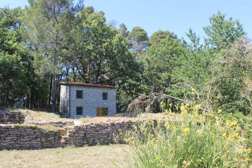 Mago in Ameglia - foto 48