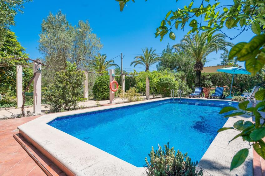 Ca Na Sioneta - foto 18