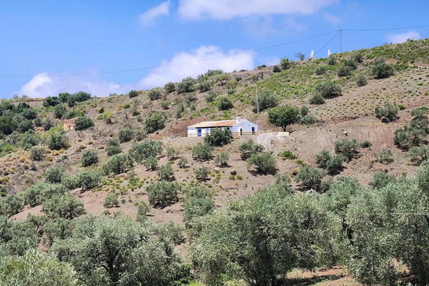 Villa Gabriel - foto 39