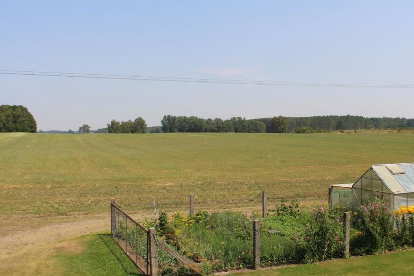 101905 - foto 5