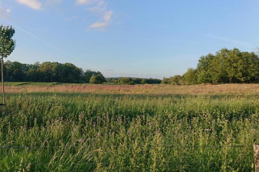 Vakantie bij Meeussen - Molendal 2 - foto 36