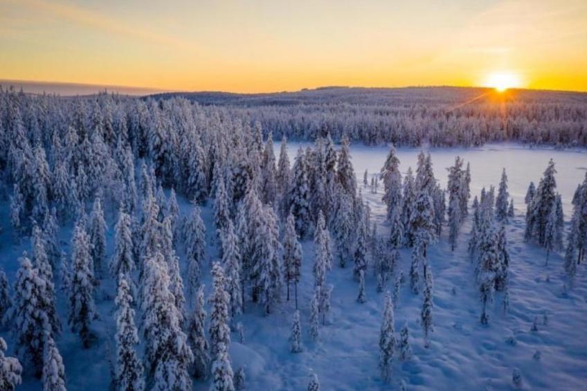 Gemütliches Ferienhaus in der Wildnis Lapplands - foto 6