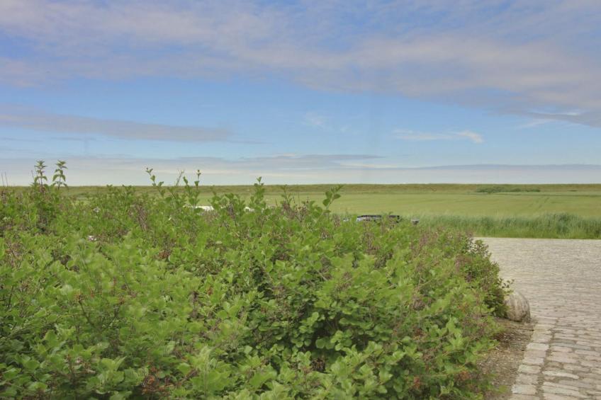 "Ingulf" - 18km from the sea in Western Jutland - foto 14