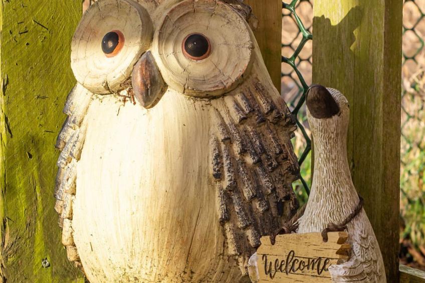 Pottles Retreat - foto 18