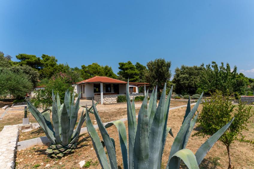 Dundo House - foto 2