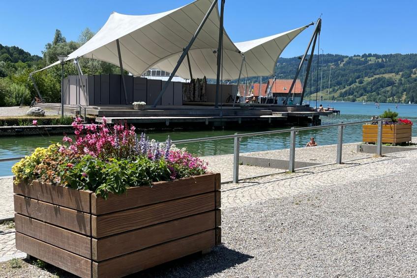 Fewo Holzer - foto 24