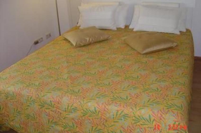 direkt am Rhein - foto 8