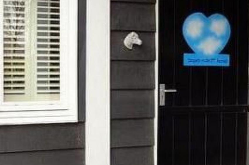 Wohnung met terras - foto 3