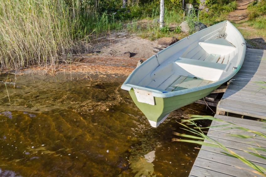 Koli, cjoe069 kissankello - foto 7