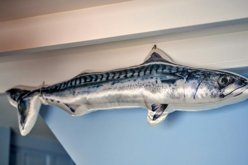 Rose Cottage, Kingsand - foto 9