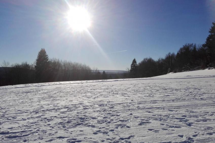 im Thüringer Wald mit Grill und Garten - foto 21