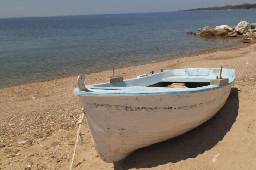 Finikas Garden Nikit - foto 3