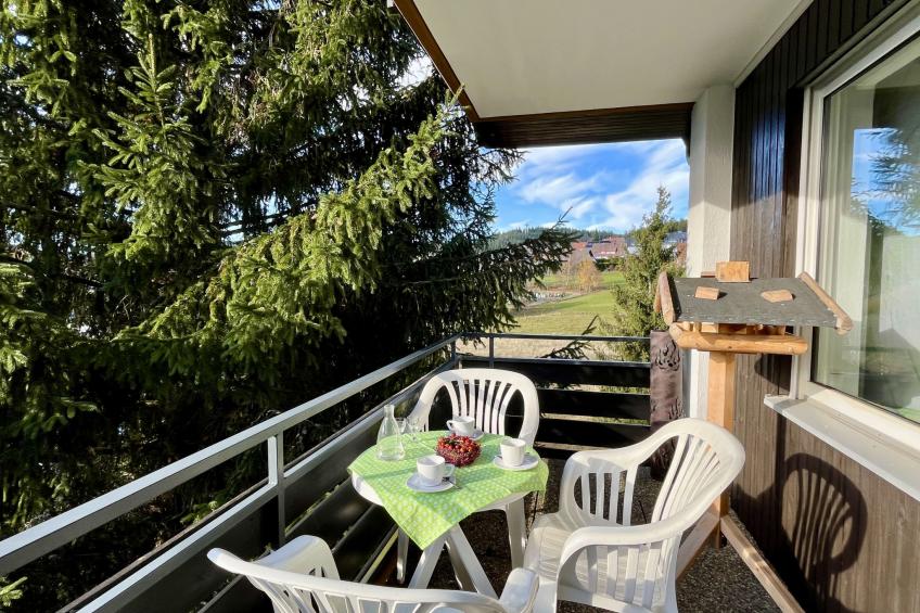 Sonnige Aussichten - foto 16