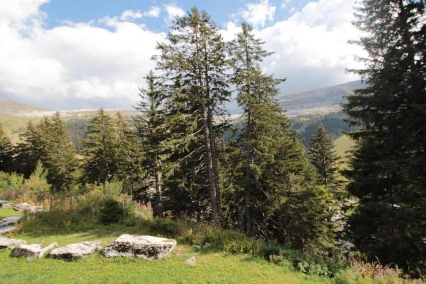 Les Portes du Grand Massif - foto 34