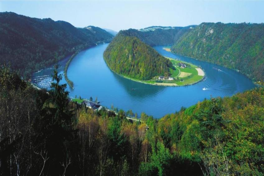 Thüringer Ferienhäuschen - foto 34