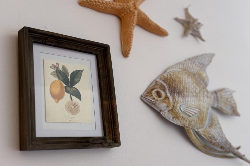 COSSIS 61B - foto 40