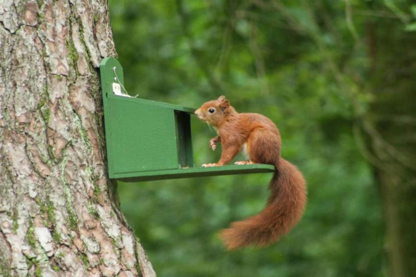 Bungalow 87 - foto 29